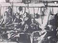 Non sono immigrati, sono i nostri nonni. 1919